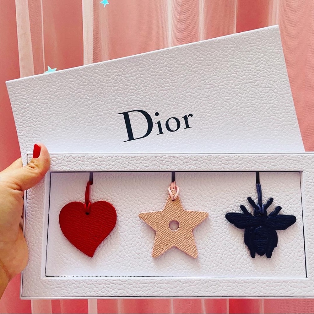 Dior Handbag accessories